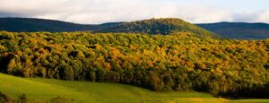 Rolling hills and trees-covered landscape of the Berkshires
